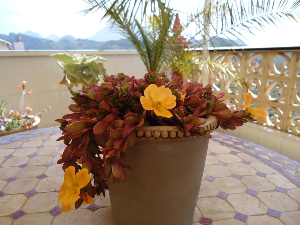 Villa Pico - Charming B&B Sella エクステリア 写真